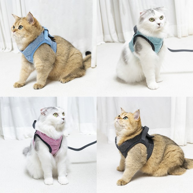 구르미 이미지