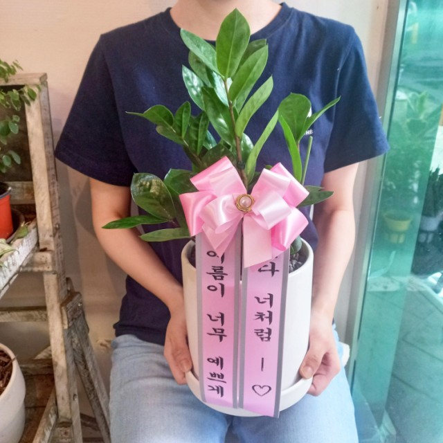 고미플라워 이미지