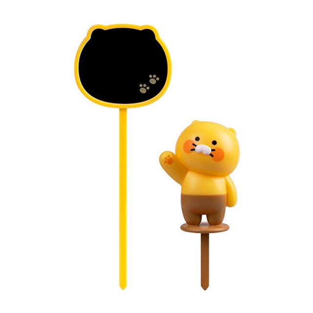 씨앤케이프랜즈 이미지