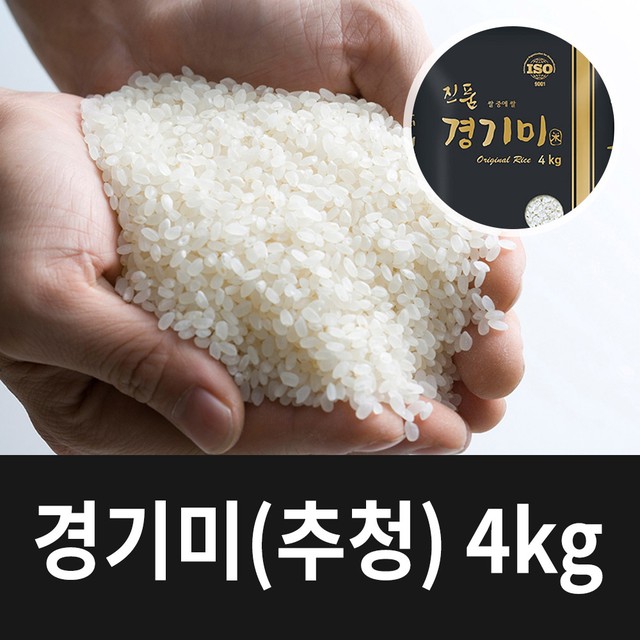 흙애서 이미지