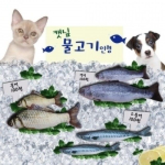 제이제이 이미지