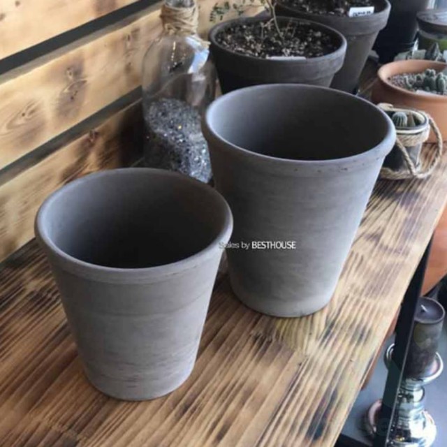카페화 이미지