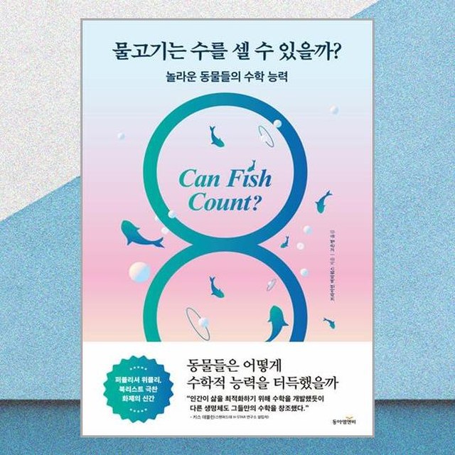 엠앤비 이미지