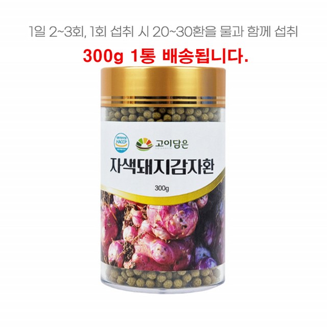 고이 이미지
