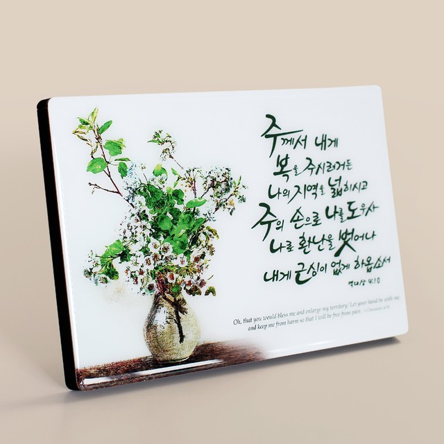 피드 이미지