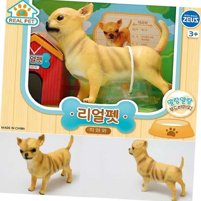 제우스 이미지