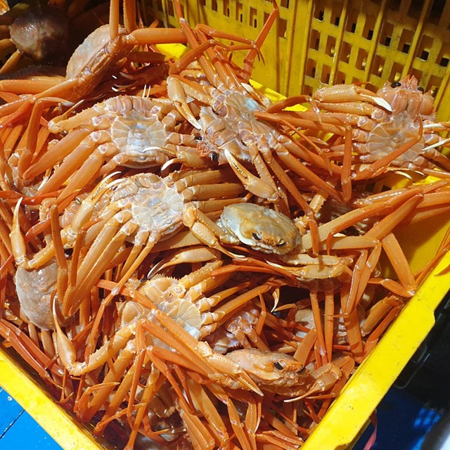 연지수산 이미지