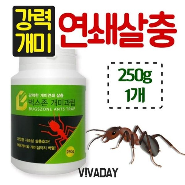 기타벅스 이미지
