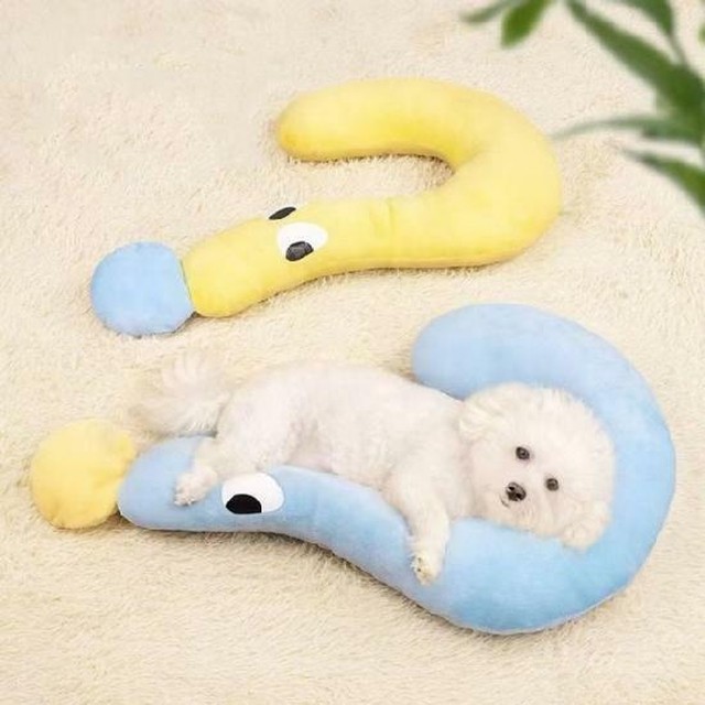 신시어 이미지