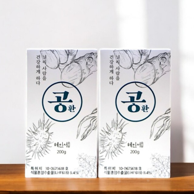 공21 이미지