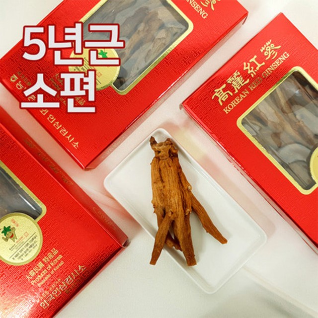마른5 이미지