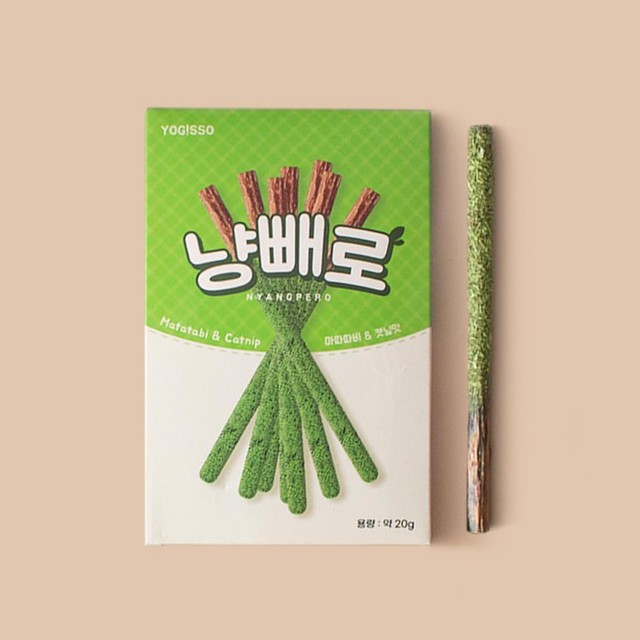 요기쏘 이미지