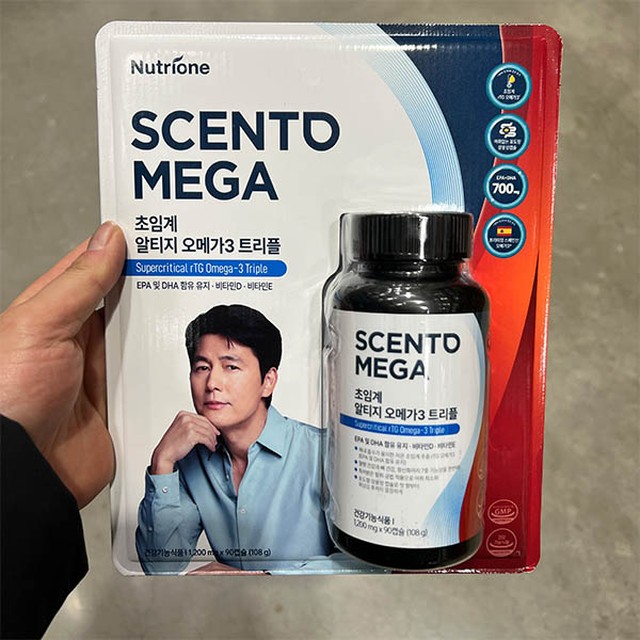센토 이미지