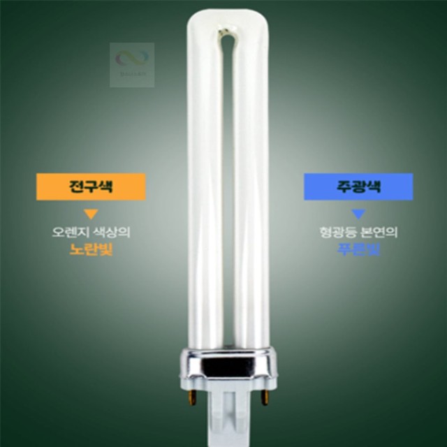 팡스팡스 이미지