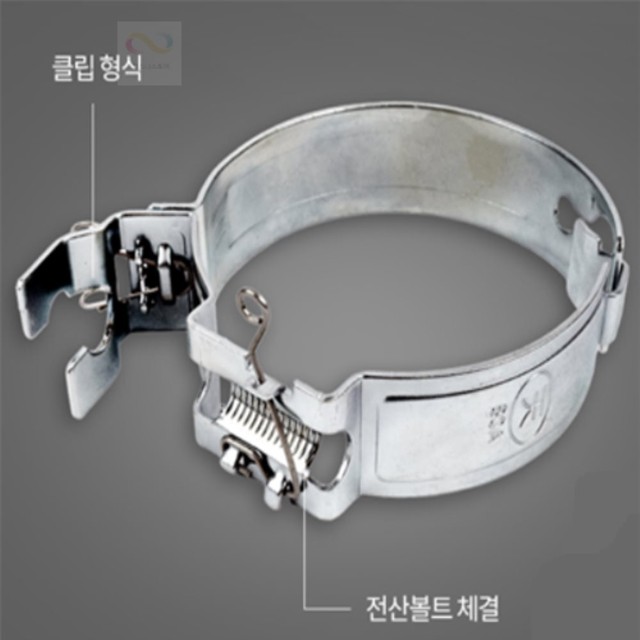 팡스팡스 이미지