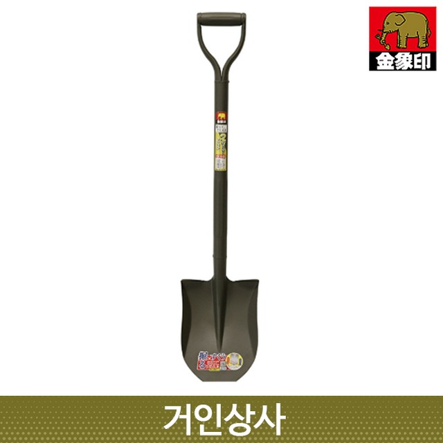 금상 이미지