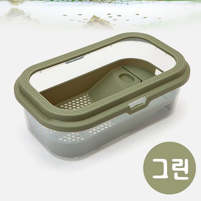 그린터틀 이미지