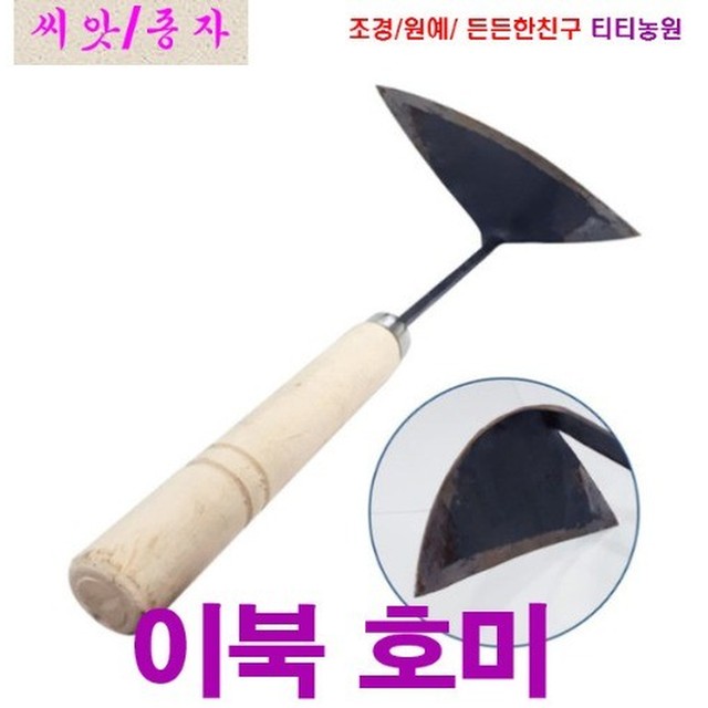 Moon기획 이미지