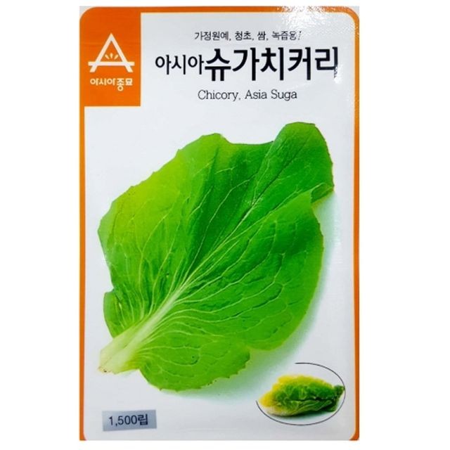 씨앗 이미지