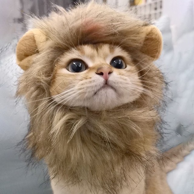 와이케이상사 이미지