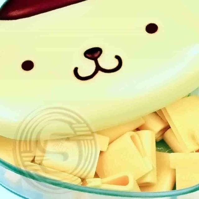 스피드운수 이미지