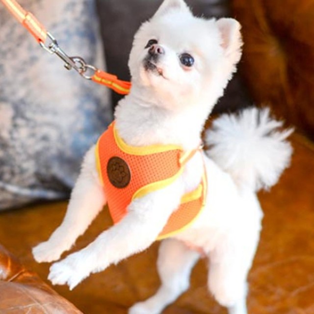 티티스마일 이미지