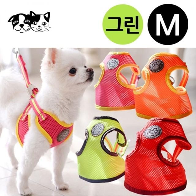 티티스마일 이미지