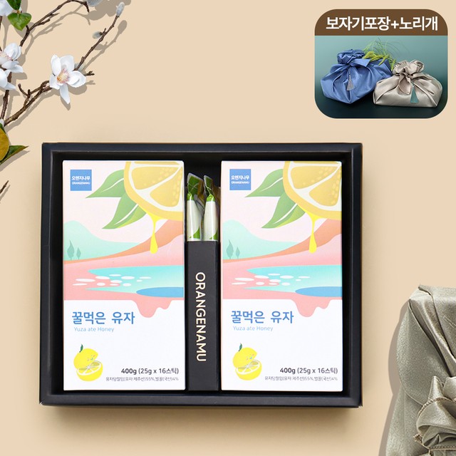 오렌지나무 이미지
