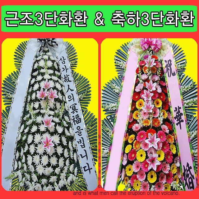 영주꽃배달 이미지