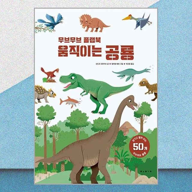 보림 이미지