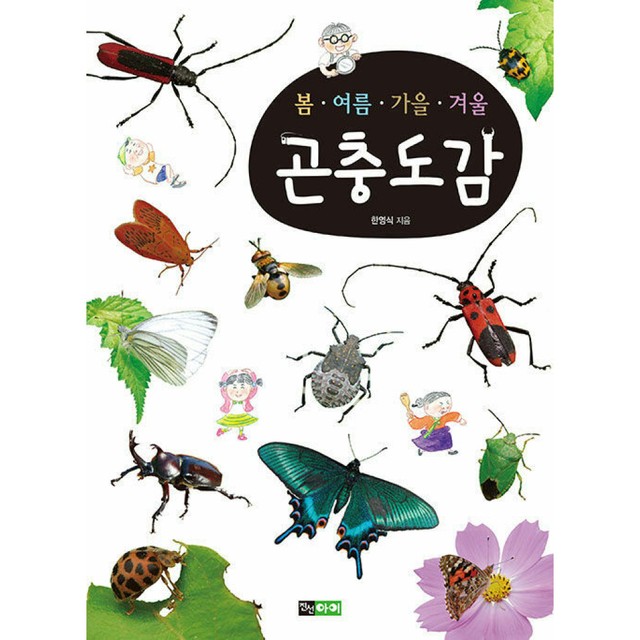 진선 이미지