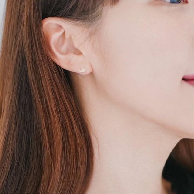 물뿜는고래 이미지