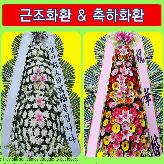 남양주혜성병원장례식장 이미지