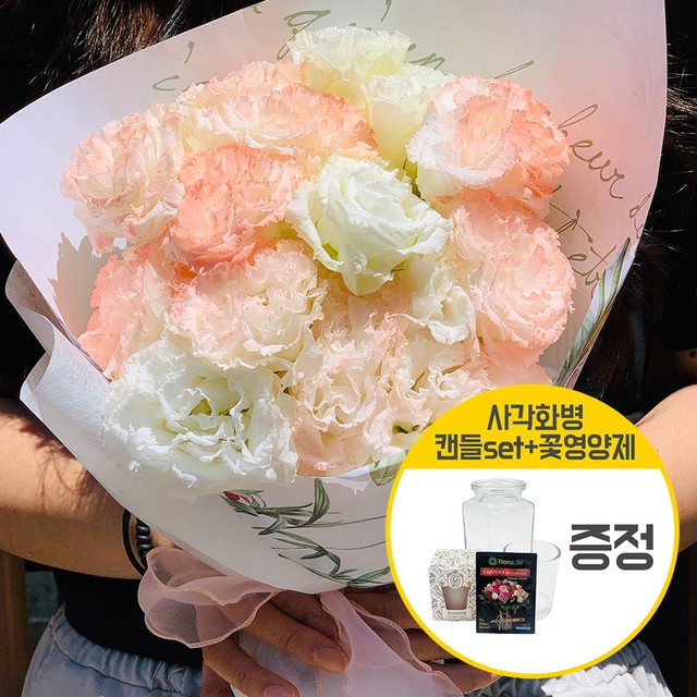 플플 이미지