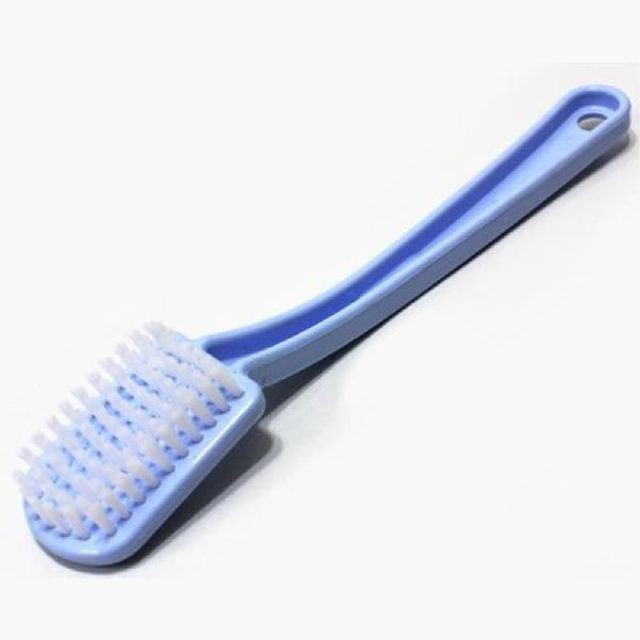 솔 이미지