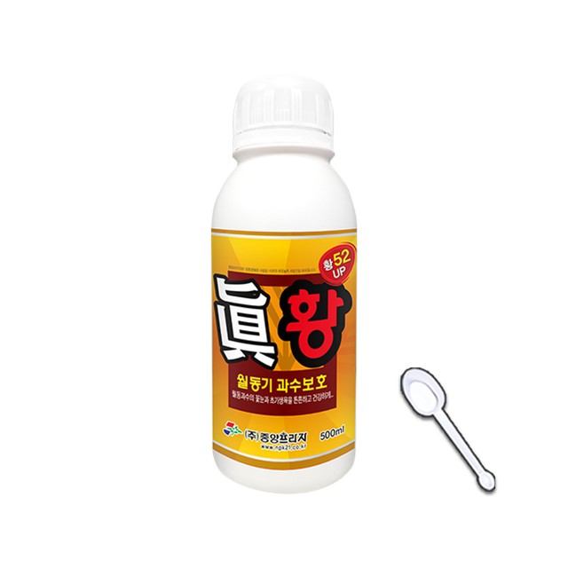 프라자 이미지