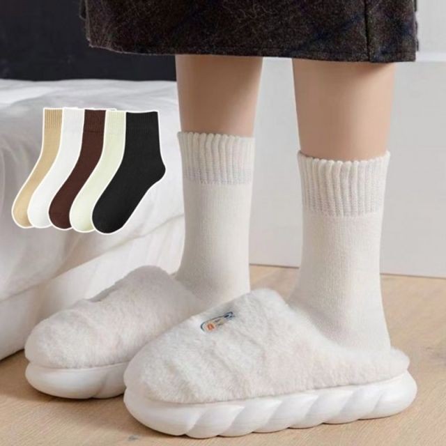 다온컴퍼니 이미지