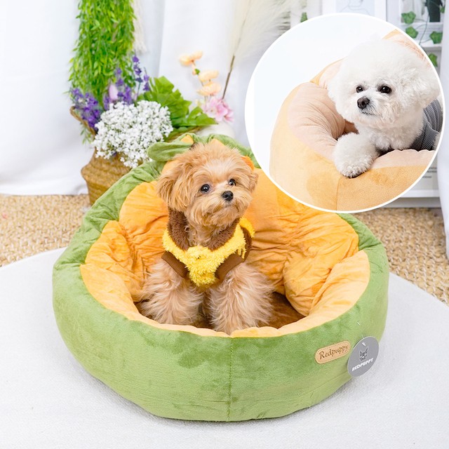 에이보 이미지