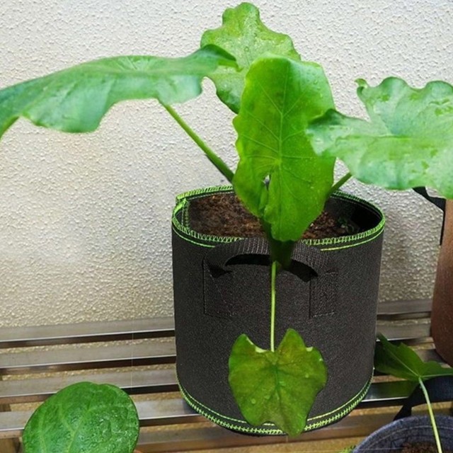 그린홈마켓 이미지