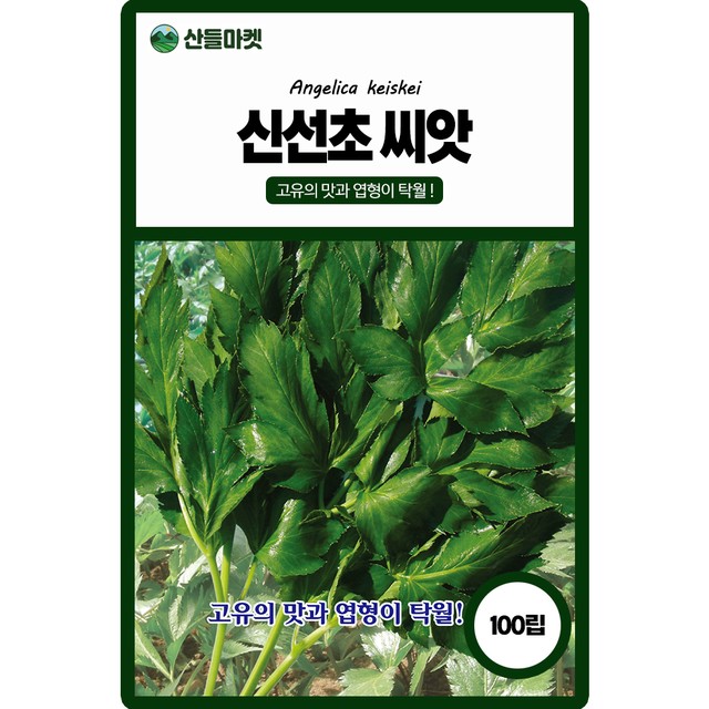 주식회사 고유 이미지