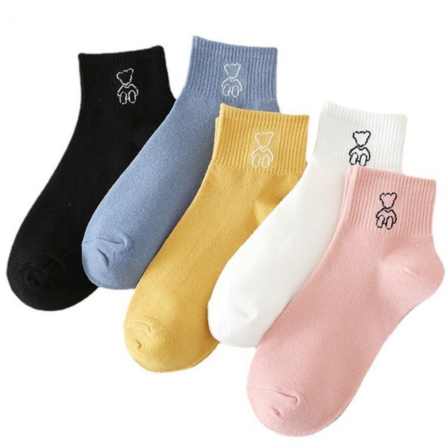 봄 B&H 이미지