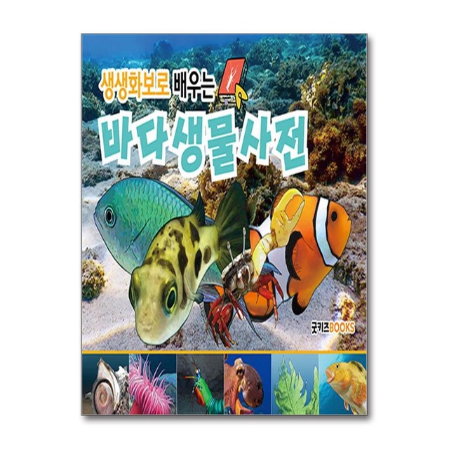 키즈북스 이미지