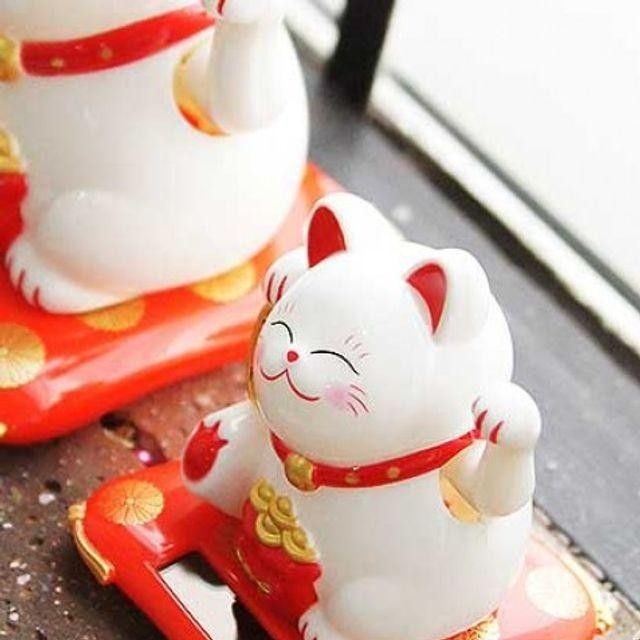 네코청소 이미지