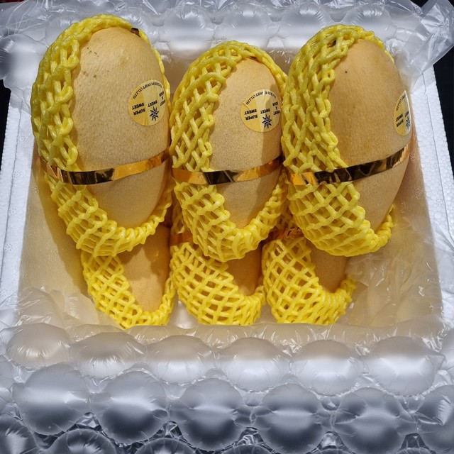 망고마트 이미지