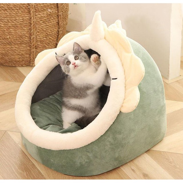 케이디하우스 이미지