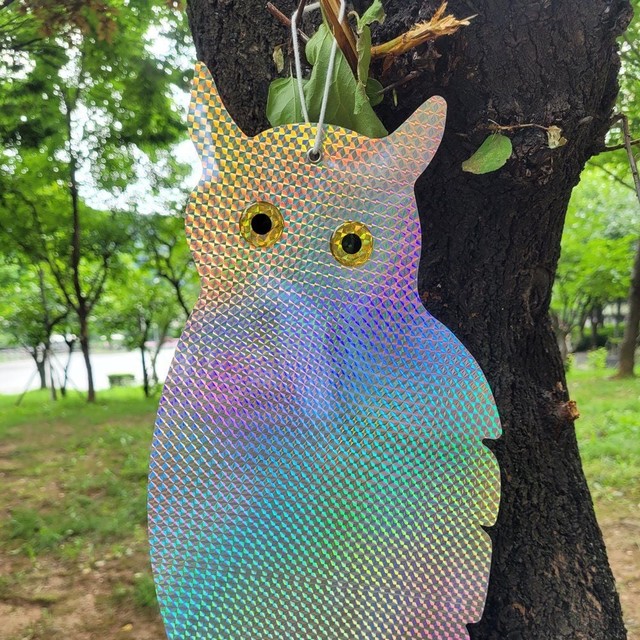 와이낫몰 이미지