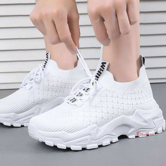 디자인237 이미지