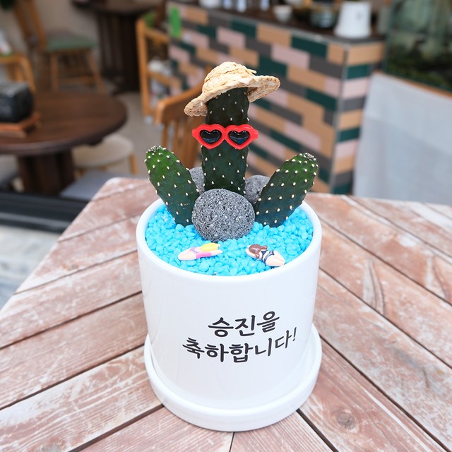 고미플라워 이미지