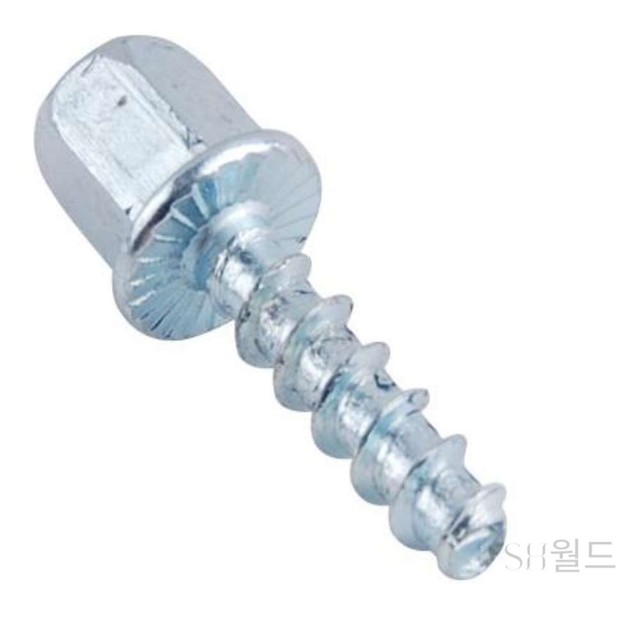 전산월드 이미지