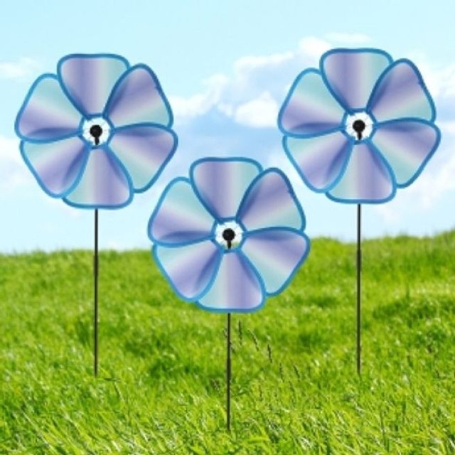 산들플라워 이미지